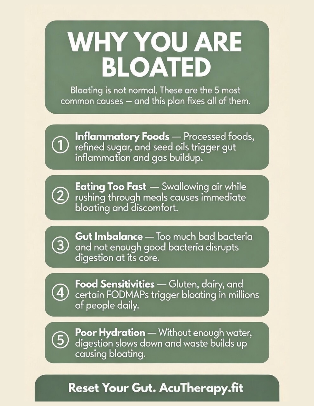 7-Day Anti-Bloat Meal Plan — Printable Gut Reset Guide with Recipes, Smoothies & Grocery List