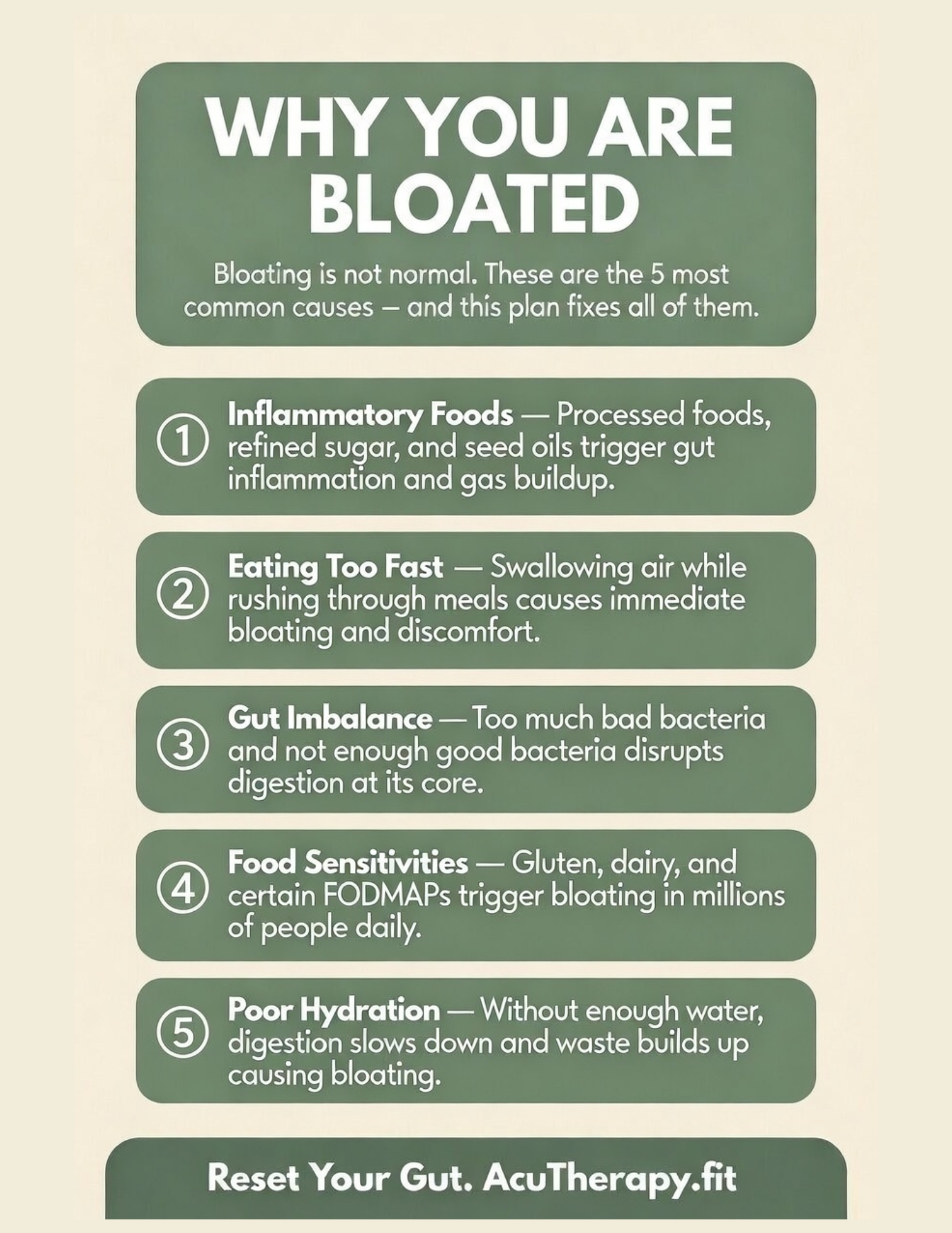 7-Day Anti-Bloat Meal Plan — Printable Gut Reset Guide with Recipes, Smoothies & Grocery List