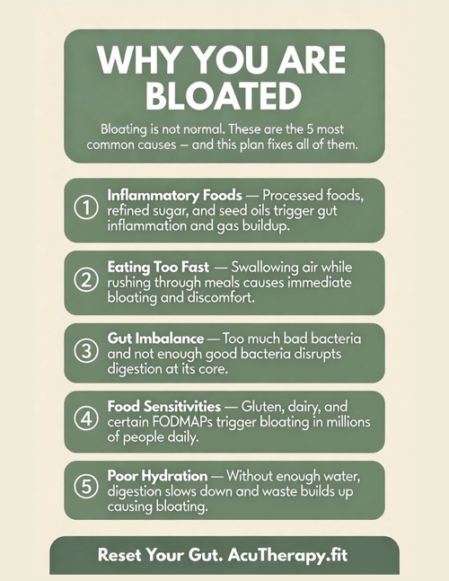 7-Day Anti-Bloat Meal Plan — Printable Gut Reset Guide with Recipes, Smoothies & Grocery List