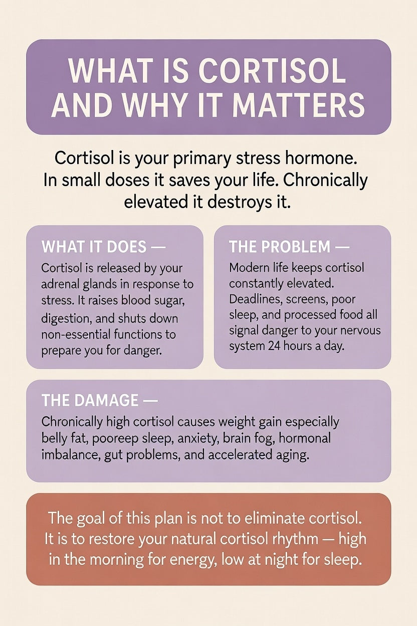 Cortisol Reset Plan — Printable Guide to Lower Stress Hormones, Reduce Belly Fat & Restore Energy