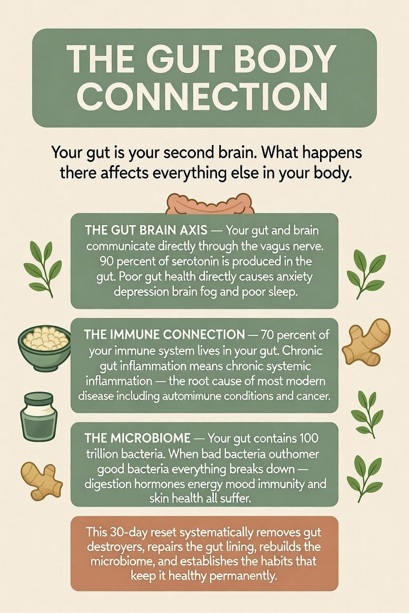 Gut Health 30-Day Reset Guide – Heal Microbiome, End Bloating (Printable)